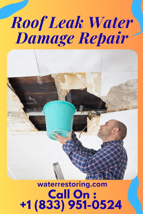 Roof Leak Water Damage Repair in Bow Valley, NE