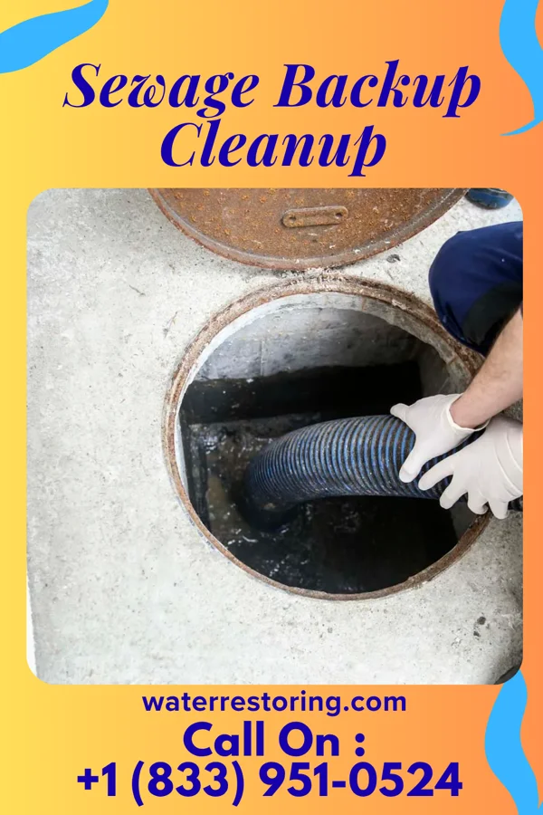 Sewage Backup Cleanup in Bow Valley, NE